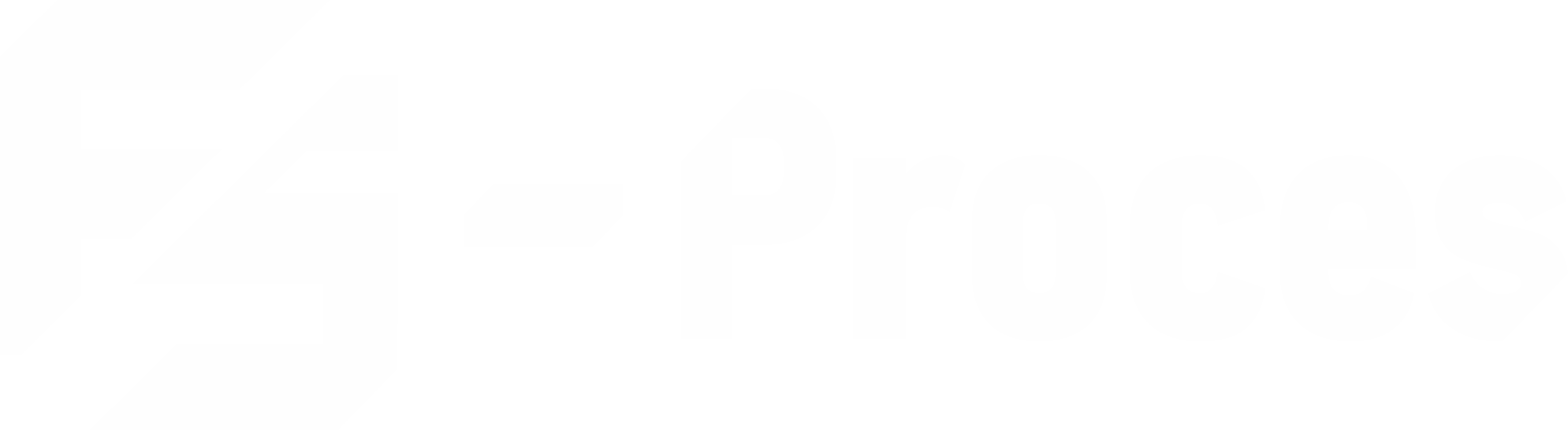 FS-Proces